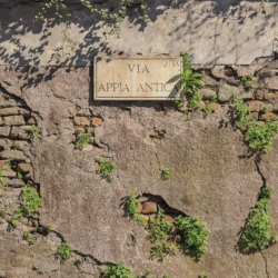 foto-solum-roma